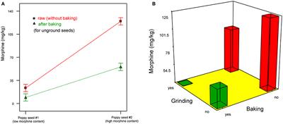 Reduction of Morphine During Baking? Response: Commentary: Opium Alkaloids in Harvested and Thermally Processed Poppy Seeds